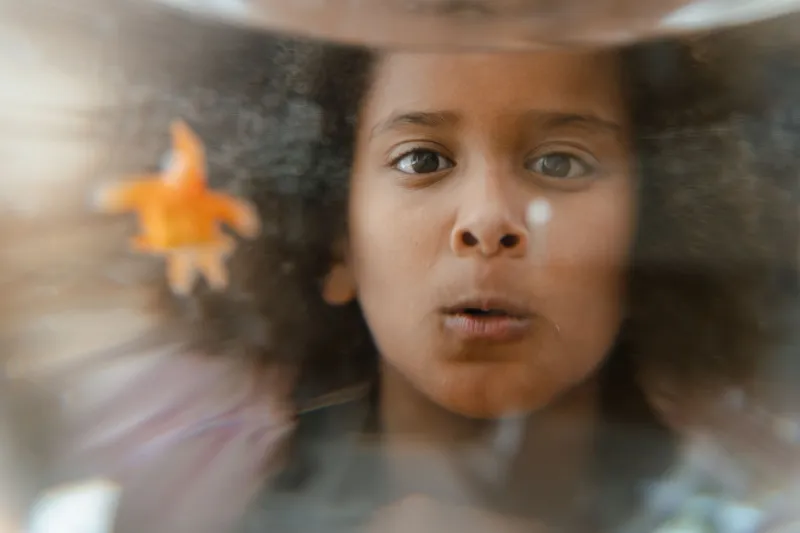 Ditch the Screen, Meet the Newt: How a Slimy Little Amphibian Is Outsmarting Every App on Your Kid's iPad