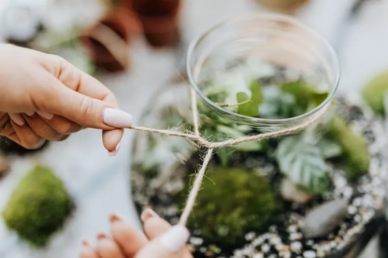 Swamp Architects Wanted: How Kids Can Build a Tiny World Their Newt Will Actually Love