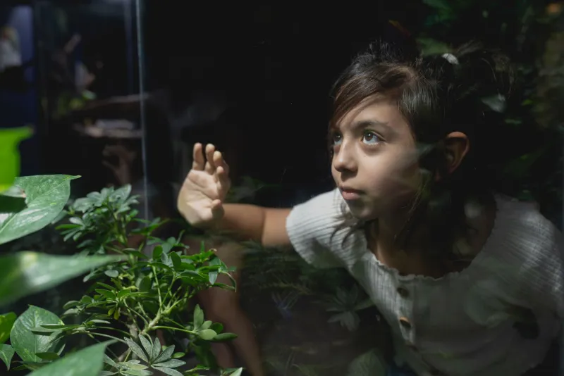 Scales, Slime, and Superpowers: The Science Behind Why Your Kid's Newt Might Actually Be Invincible