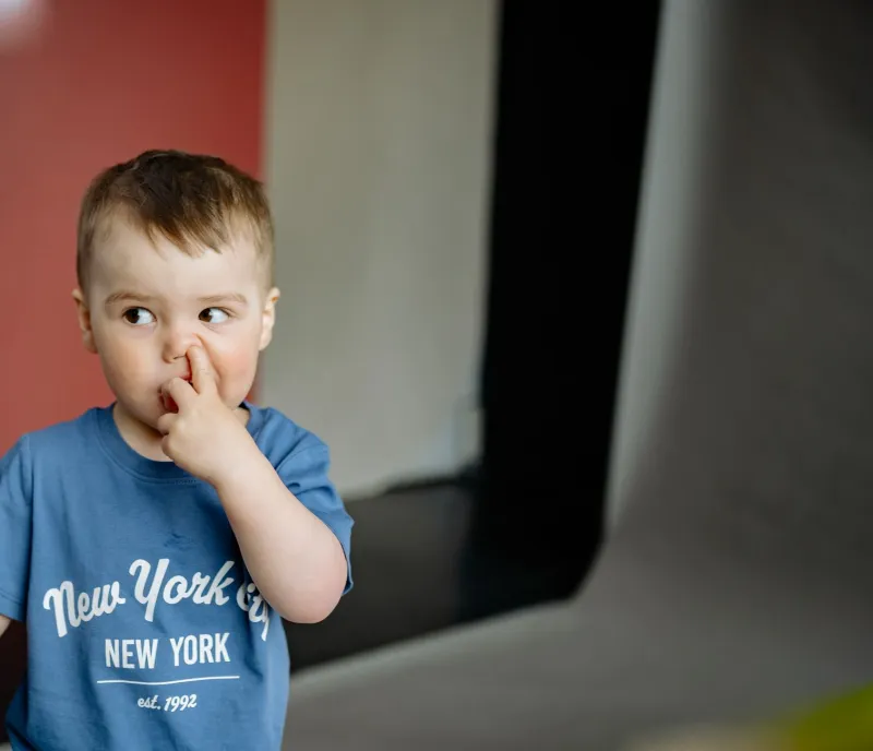 Sir Wigglebottom vs. Notophthalmus viridescens: Why Your Kid's Ridiculous Newt Name Is the Right One