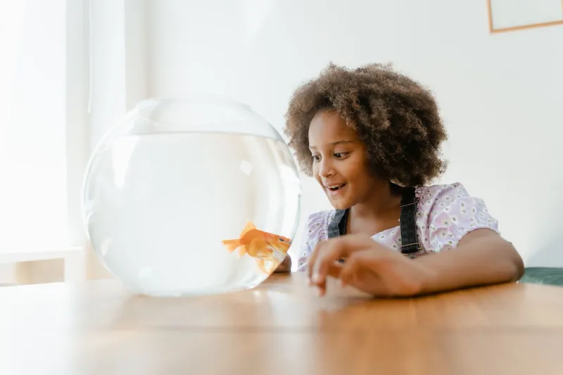 Slimy Little Social Coaches: How Owning a Newt Turns Shy Kids Into Friendship Pros